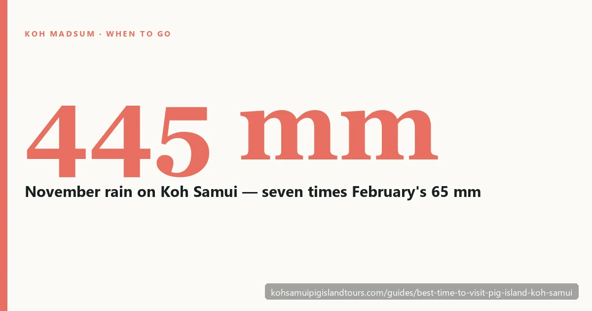 Month-by-month rainfall for Koh Samui, showing November as the wettest month and February as the driest