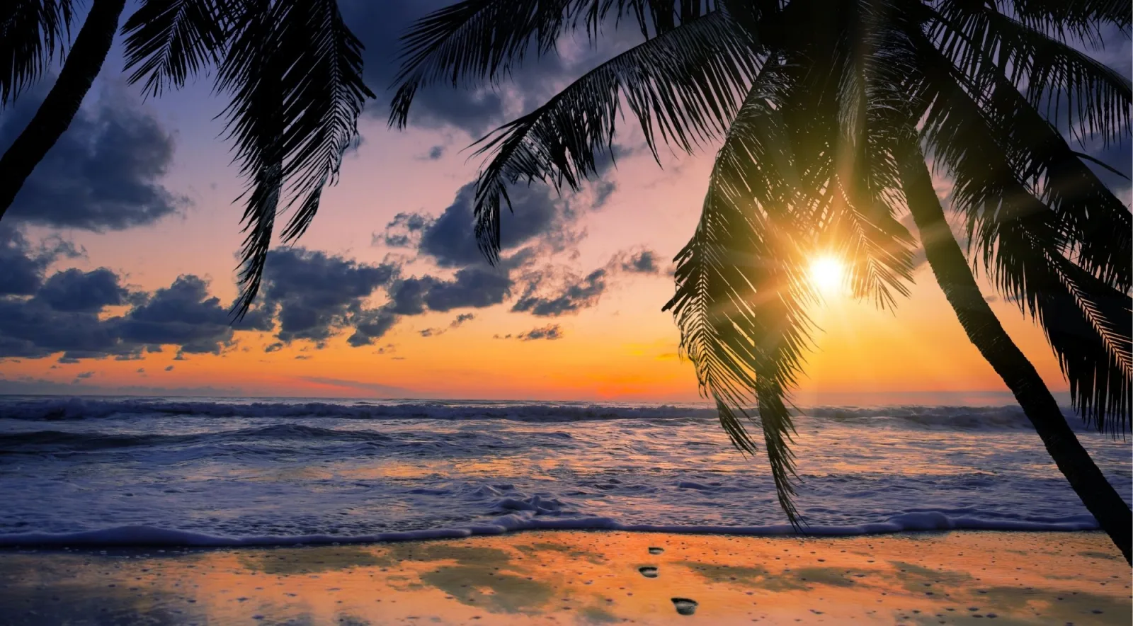 Sunset behind coconut palms over a tropical beach, with the sun low through the fronds and wet sand reflecting the light