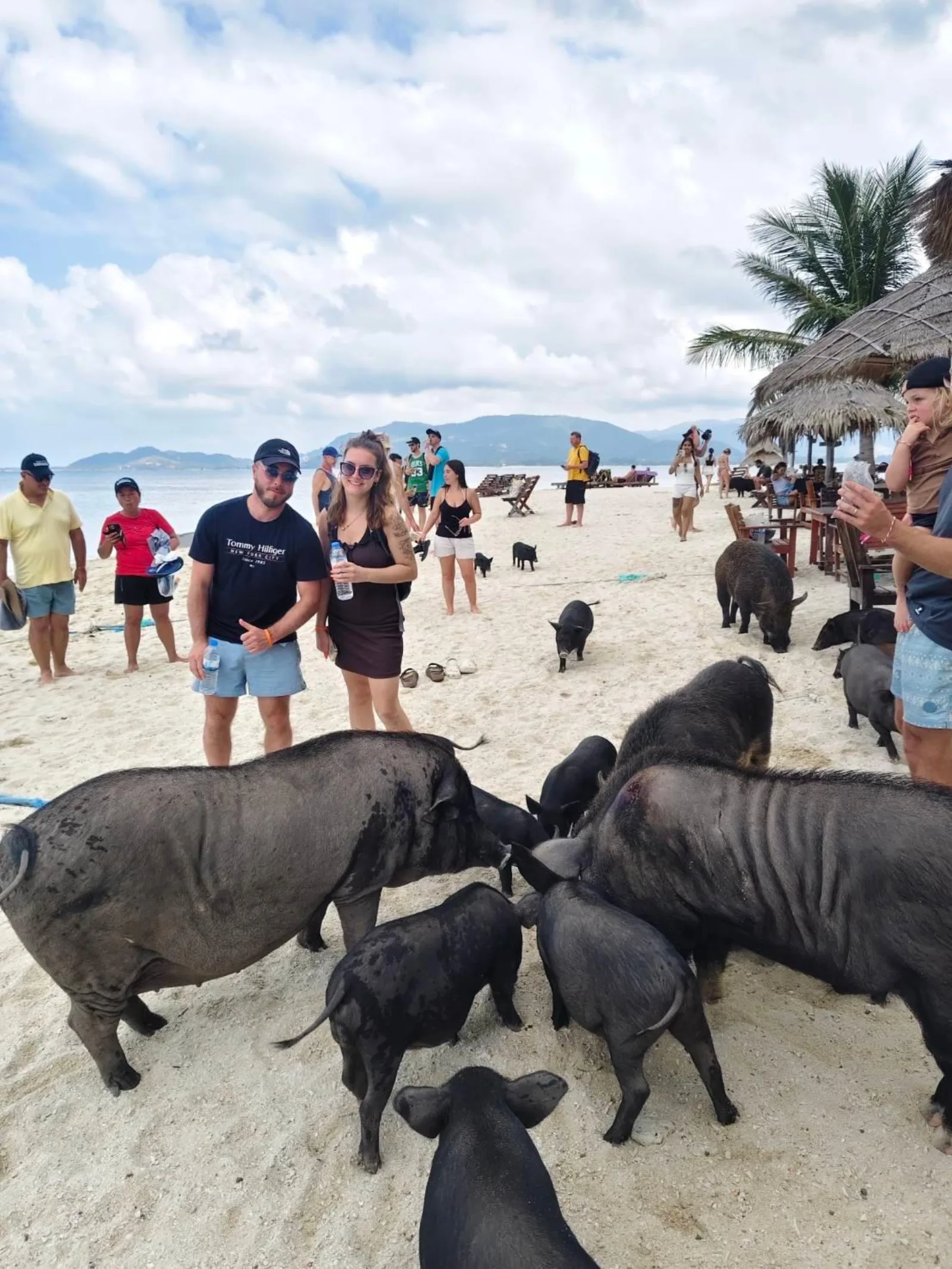Koh Samui: Pig Island & Koh Tan Snorkeling w/Viewpoint Hike