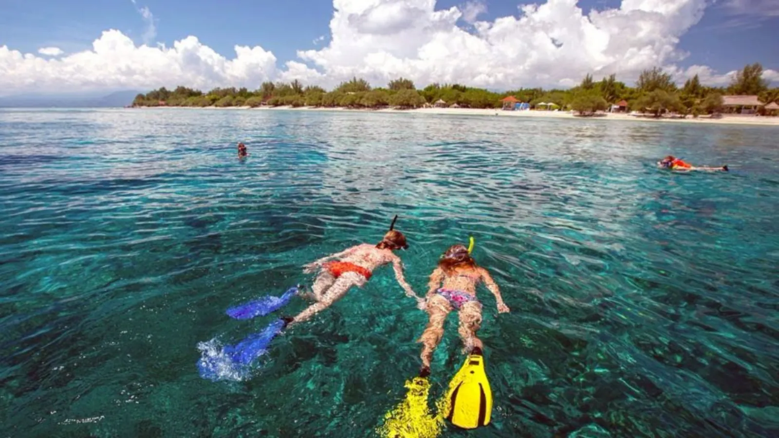 Two snorkellers face-down at the surface above the reef