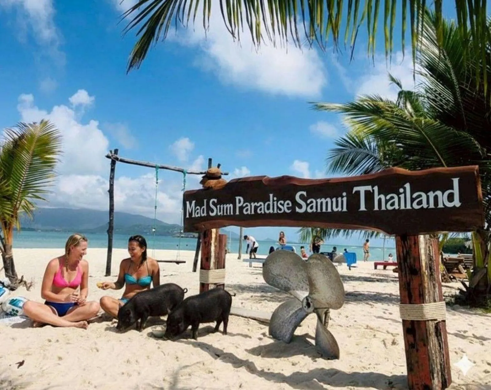 Two visitors sitting with pigs beneath the Mad Sum Paradise Samui Thailand sign