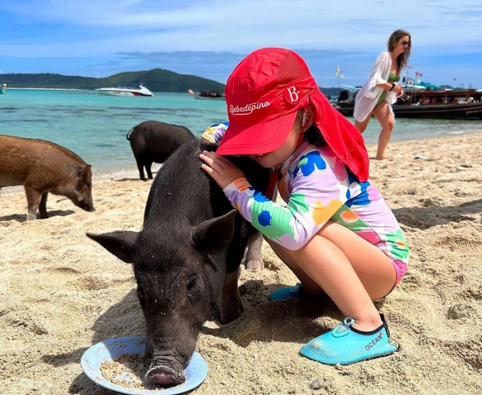 A child in a red cap stroking a pig at the shoreline