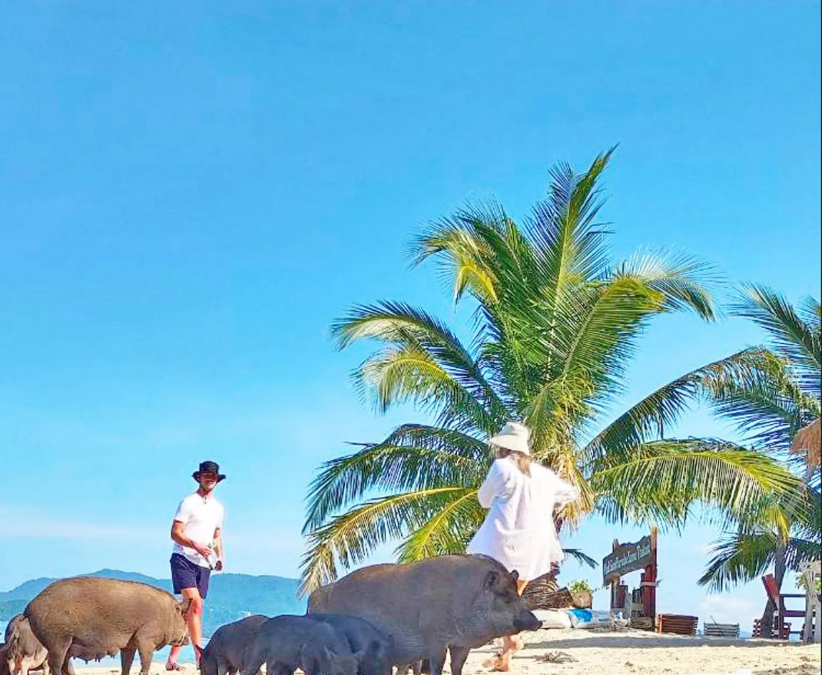 Two visitors standing under coconut palms against a clear blue sky