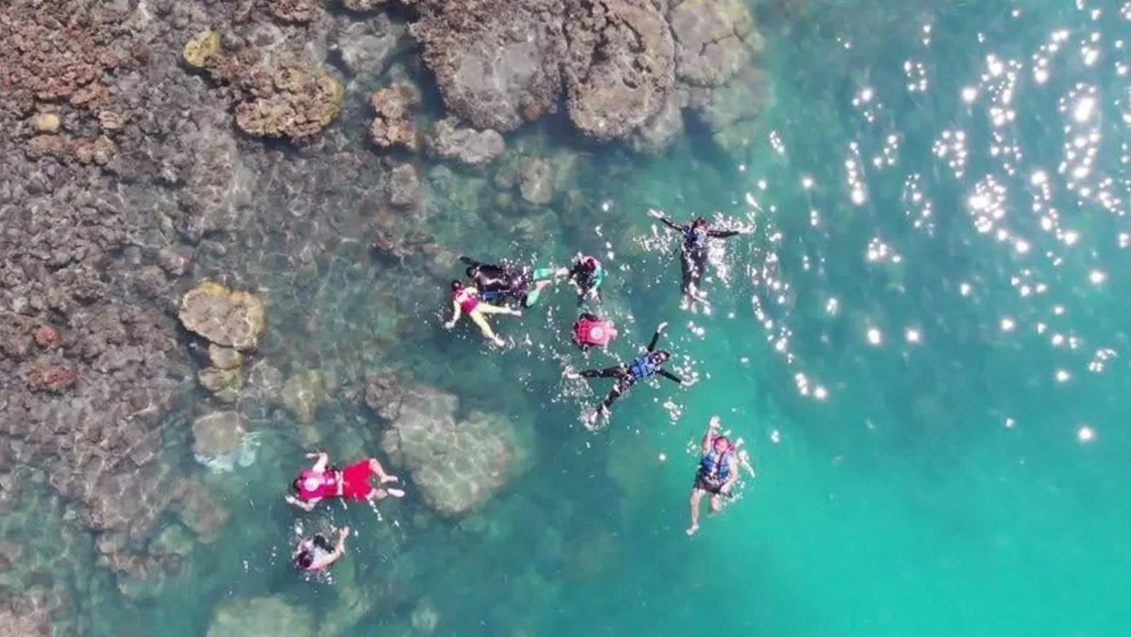 Aerial view of snorkellers in life jackets floating above the reef