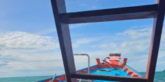 Guest photo from review