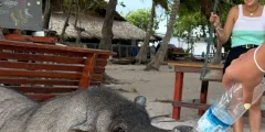 Guest photo from review