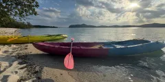Guest photo from review